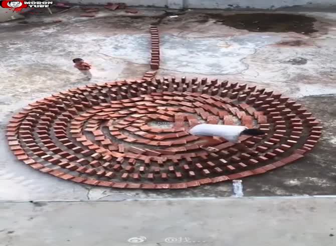 Video :Domino with bricks - a kid shows up to undermine his dad's work